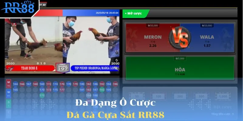 Đa dạng tỷ lệ cược đá gà cho khách hàng lựa chọn