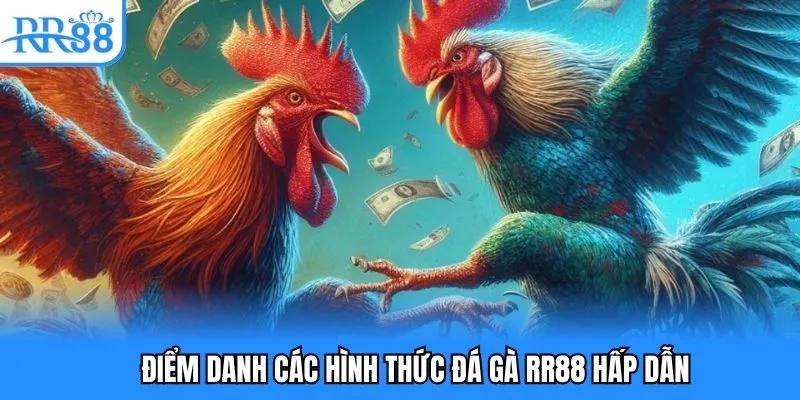 Điểm danh các hình thức đá gà RR88 hấp dẫn