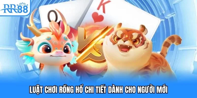 Luật chơi rồng hổ chi tiết dành cho người mới