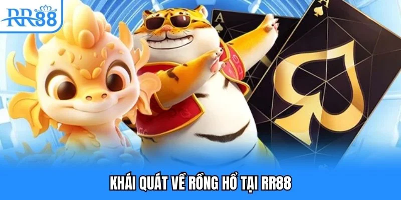 Khái quát về rồng hổ tại RR88